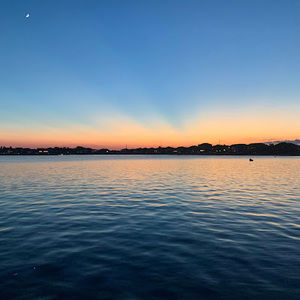 Meet your Posher, Frankie